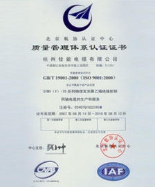 IS09001:2000 Certificate 3